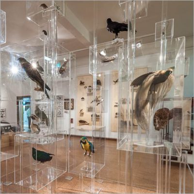 Derby Museums exhibition