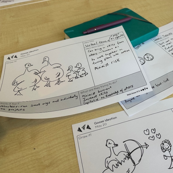 Sketches of ideas for the development of Goose